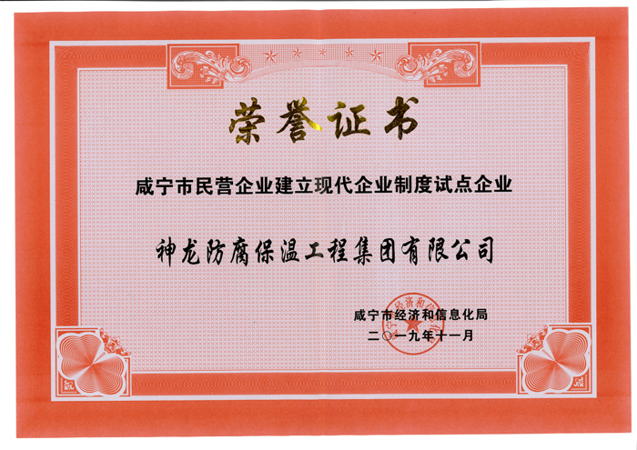 現(xiàn)代企業(yè)制度試點(diǎn)企業(yè)